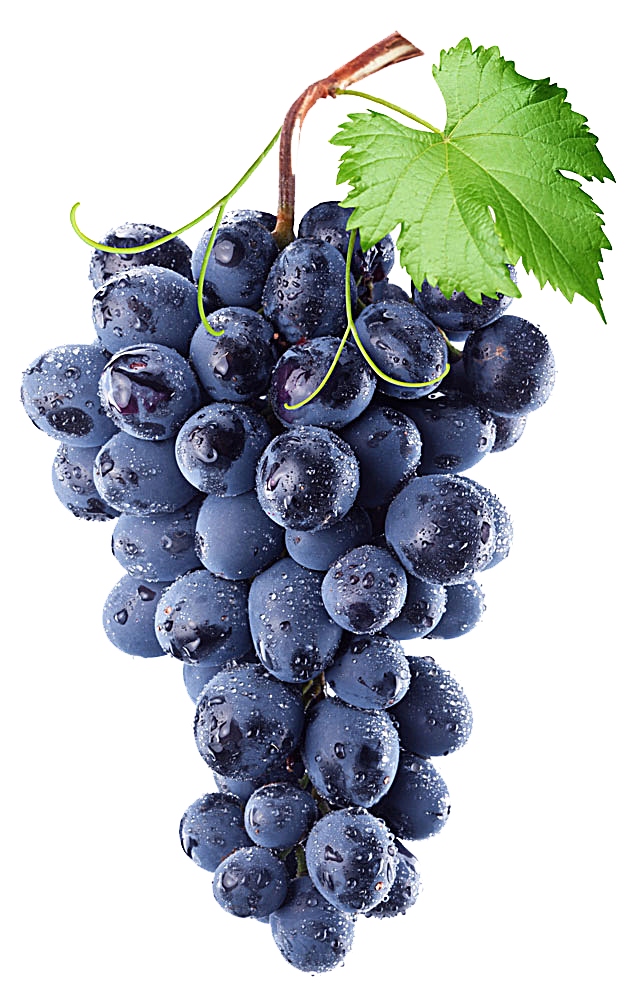 Grapes Food icon